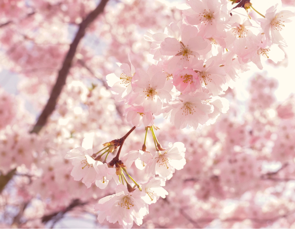 God is Calling You to Create: Rejoicing in Small Beginnings and Starting Imperfectly